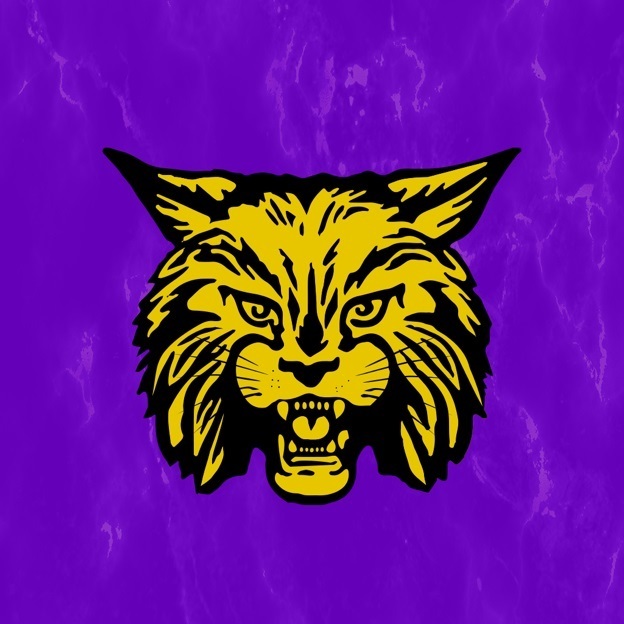 Wildcat Baseball Wins