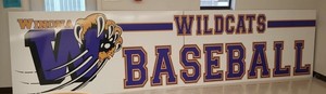 High School Baseball