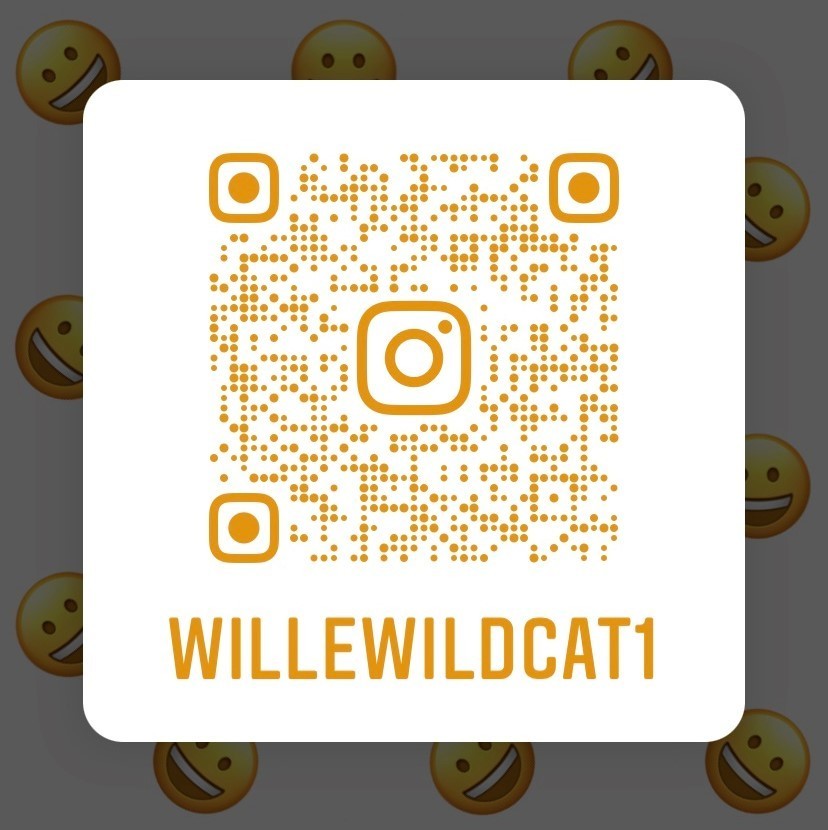 Willewildcat1 QR Code